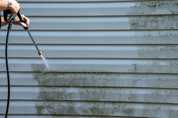 Affordable siding repair and maintenance services in Cool Valley, MO